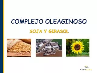 complejo oleaginoso