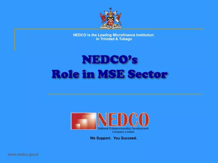 nedco s role in mse sector