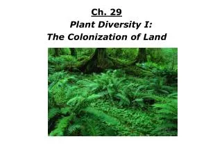 Ch. 29 Plant Diversity I: The Colonization of Land