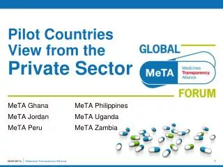 Pilot Countries View from the Private Sector