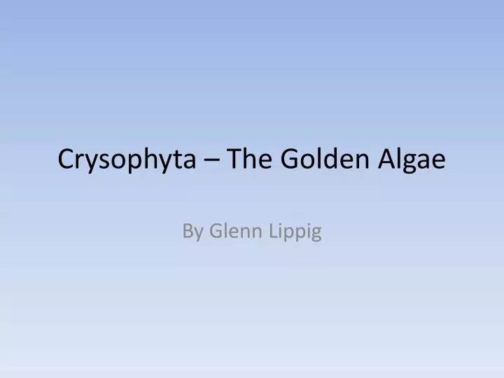 crysophyta the golden algae