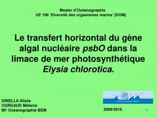 Le transfert horizontal du gène algal nucléaire psbO dans la limace de mer photosynthétique Elysia chlorotica.