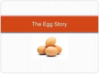 The Egg Story