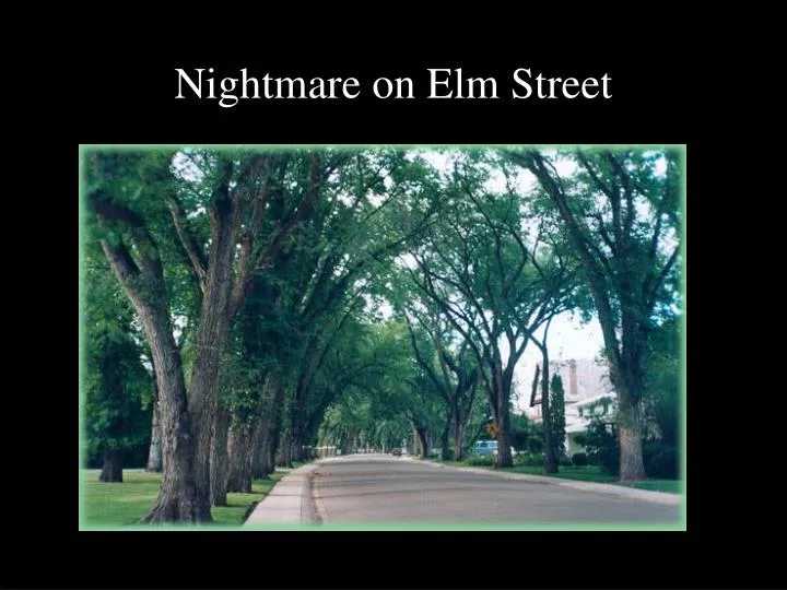 nightmare on elm street