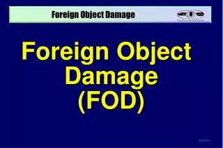 Foreign Object Damage (FOD)