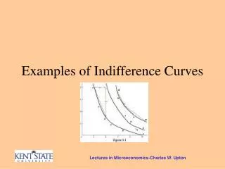 Examples of Indifference Curves
