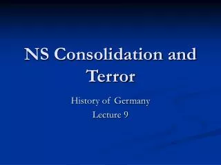 NS Consolidation and Terror