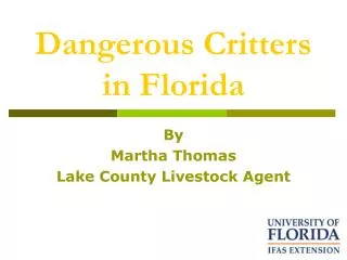 Dangerous Critters in Florida