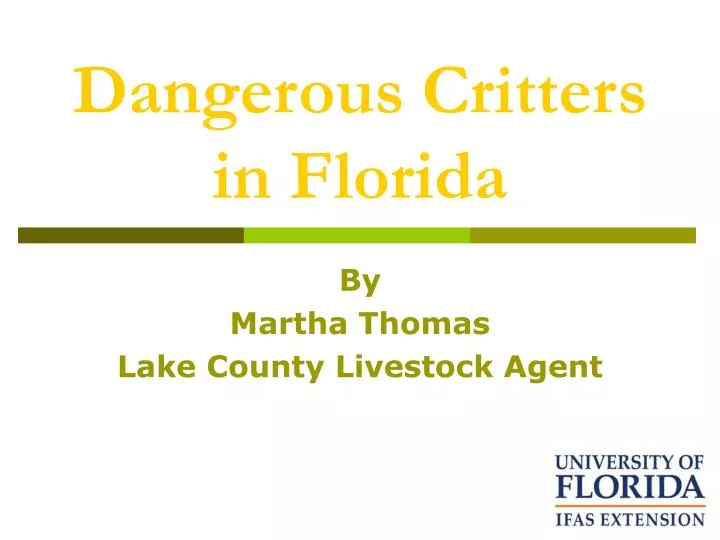 dangerous critters in florida