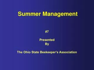 Summer Management