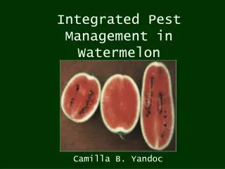 Integrated Pest Management in Watermelon