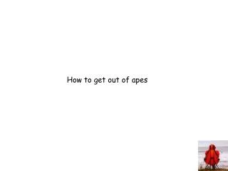 How to get out of apes