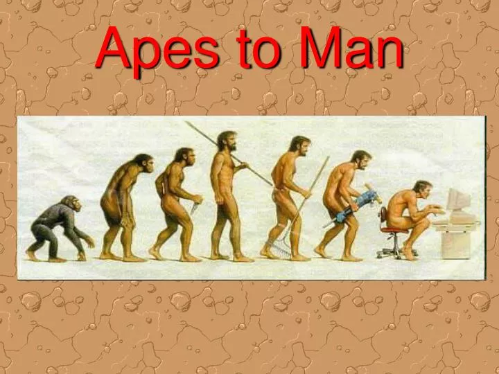 apes to man