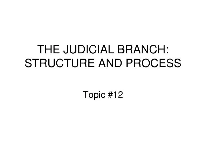 the judicial branch structure and process