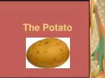 The Potato - slide 1