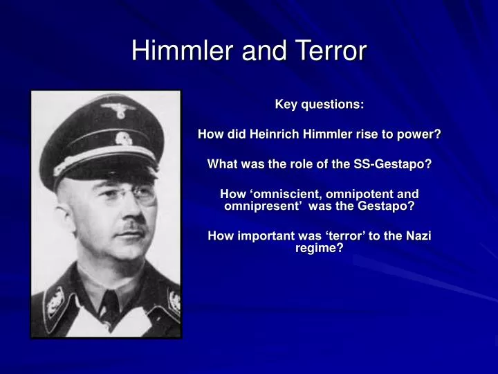 himmler and terror