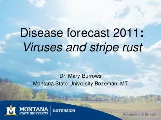 Disease forecast 2011 : Viruses and stripe rust