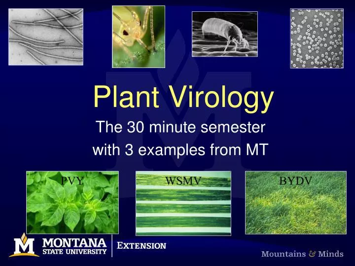 plant virology