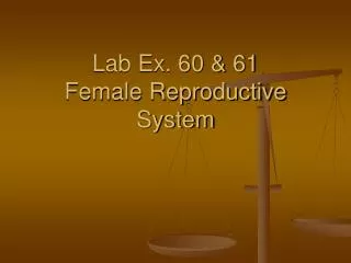 Lab Ex. 60 &amp; 61 Female Reproductive System
