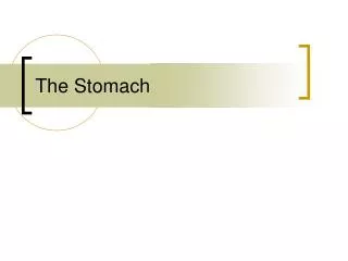The Stomach