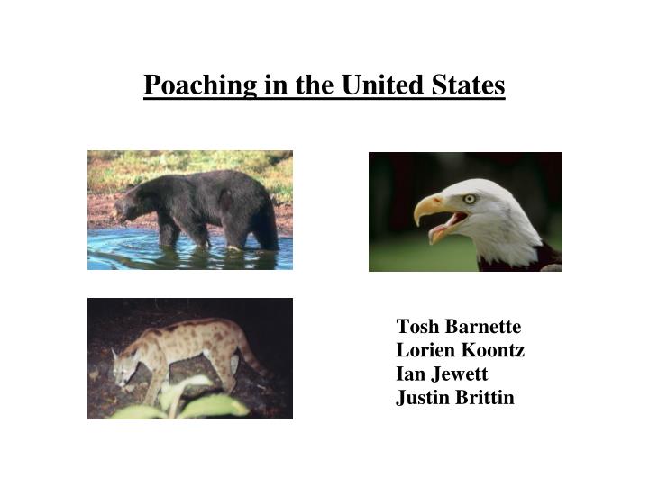 poaching in the united states
