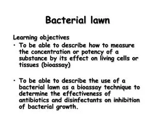 Bacterial lawn