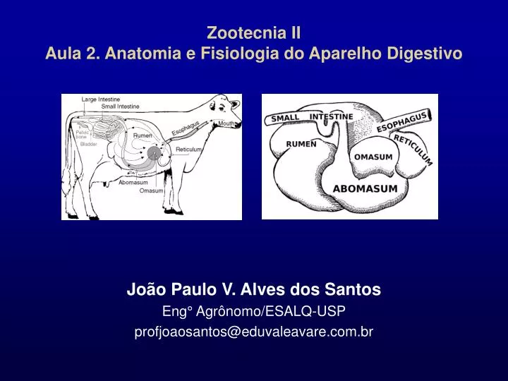 zootecnia ii aula 2 anatomia e fisiologia do aparelho digestivo