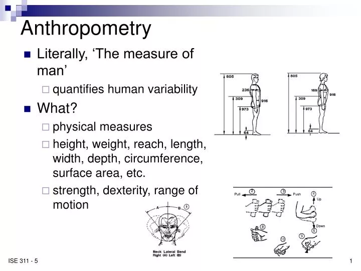 anthropometry