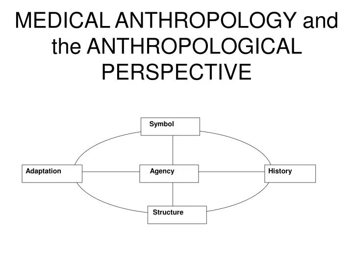 medical anthropology and the anthropological perspective
