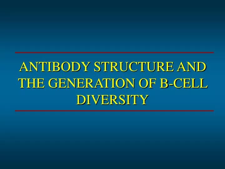 antibody structure and the generation of b cell diversity
