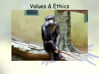 Values &amp; Ethics Instrumental or Utilitarian