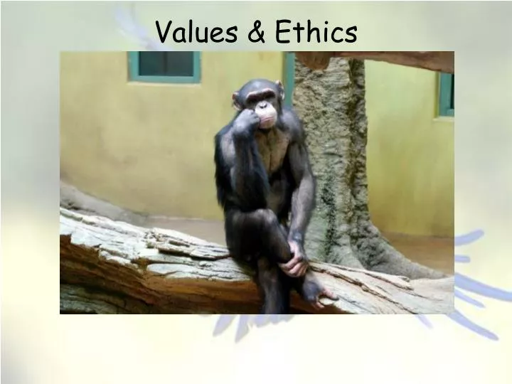 values ethics instrumental or utilitarian