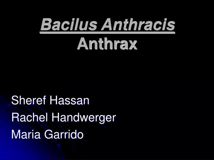 bacilus anthracis anthrax