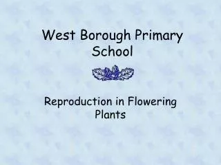 West Borough Primary School