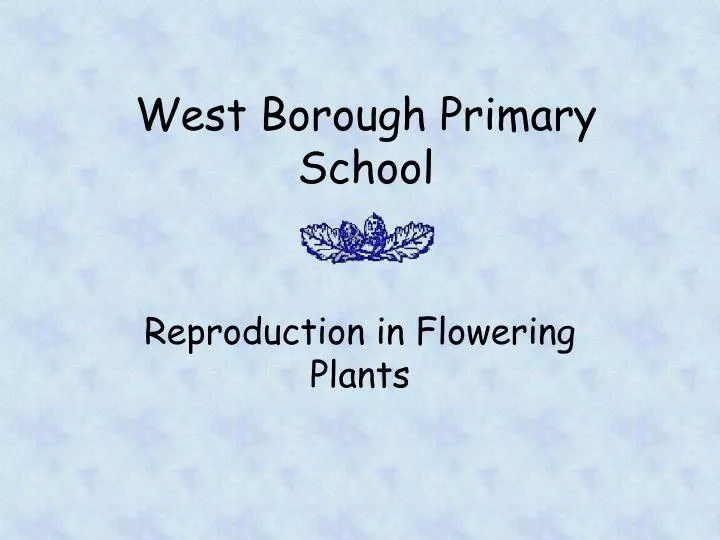 west borough primary school