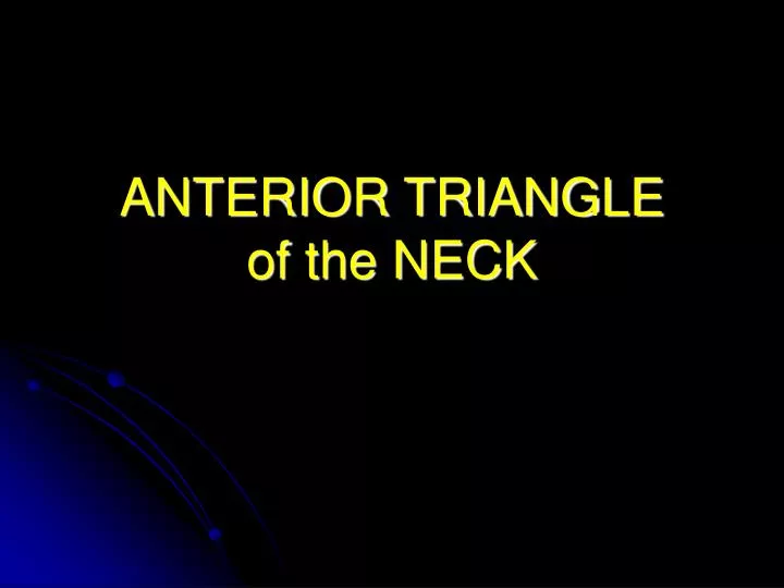 anterior triangle of the neck
