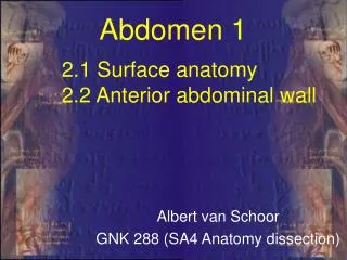 2.1 Surface anatomy 2.2 Anterior abdominal wall