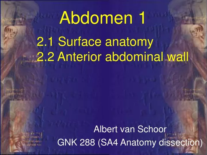 2 1 surface anatomy 2 2 anterior abdominal wall