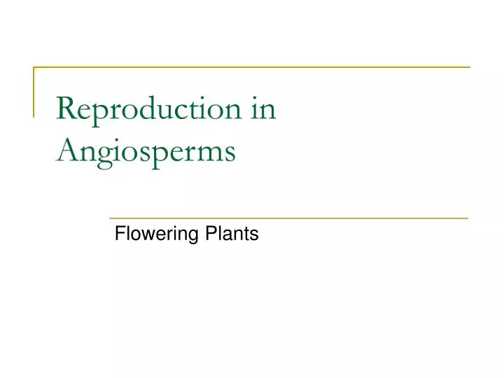reproduction in angiosperms