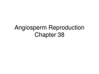Angiosperm Reproduction Chapter 38