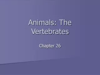 Animals: The Vertebrates