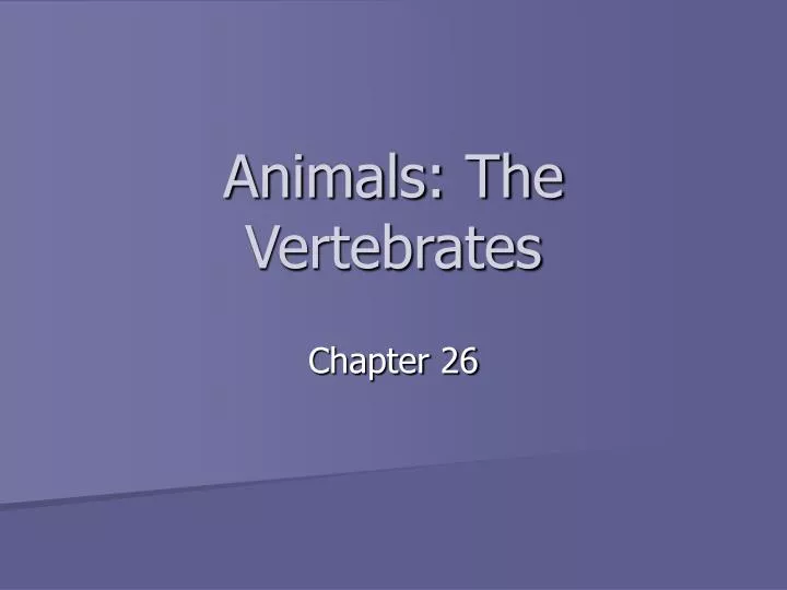 animals the vertebrates