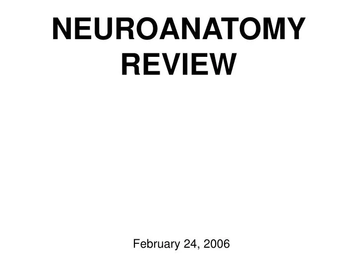 neuroanatomy review