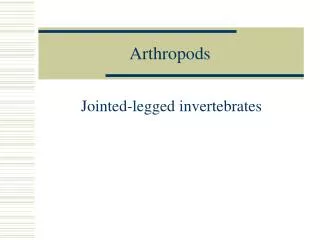 Arthropods