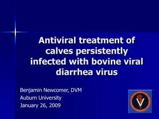 Antiviral treatment of calves persistently infected with bovine viral diarrhea virus