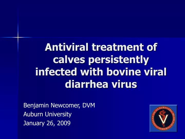 antiviral treatment of calves persistently infected with bovine viral diarrhea virus