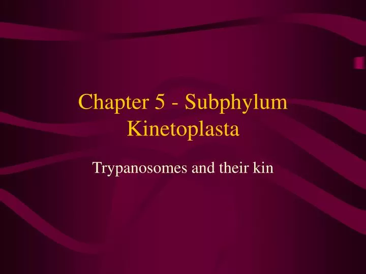 chapter 5 subphylum kinetoplasta
