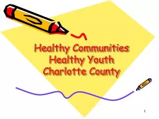 Healthy Communities Healthy Youth Charlotte County