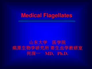 Medical Flagellates