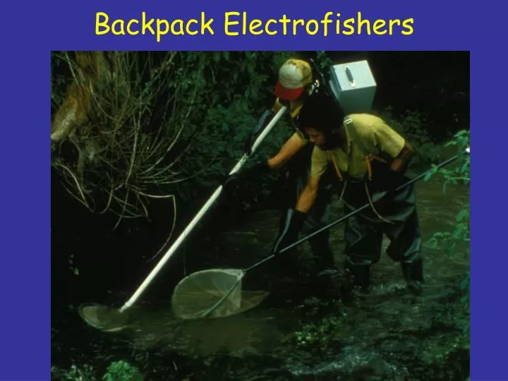 backpack electrofishers